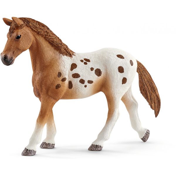 Product - Image 4
