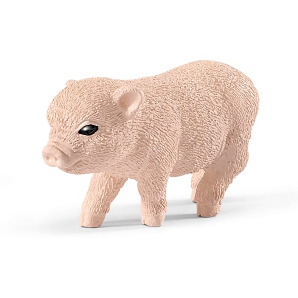Product - Image 3