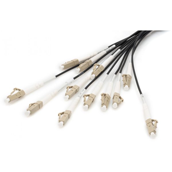 DIGITUS Pre-assembled Fiberglass Universal Breakout Cable, Multi Mode OM4, 12 Fibers, LC/UPC - LC/UPC - Image 4