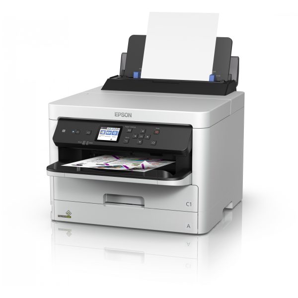  - Image 4