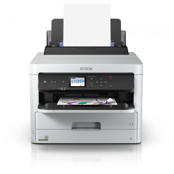  - Image 7